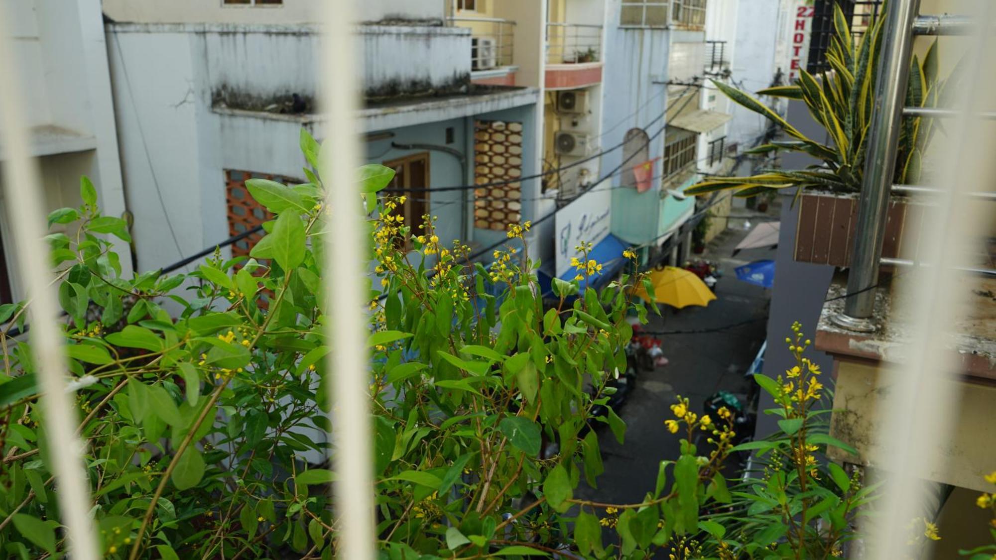 Maiam Homestay Ho Chi Minh-stad Buitenkant foto